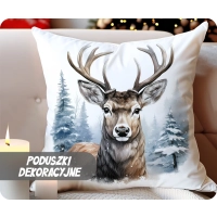 Poduszki Dekoracyjne
