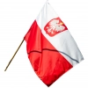 FLAGA POLSKA FLAGI POLSKI NARODOWA PRODUCENT 128x80 cm Z DRZEWCEM GODŁO