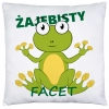 PODUSZKA 40x40 DZIEŃ CHŁOPAKA FACETA PREZENT DRUK