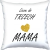 PODUSZKA 40x40cm DLA MAMY Z NADRUKIEM JASIEK NA PREZENT DZIEŃ MATKI MAMA