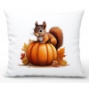 POSZEWKA DEKORACYJNA 40x60 JASIEK OZDOBNA JESIENNA DYNIA WIEWIÓRKA