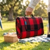 Mężczyzna w plenerze niosący w dłoni złożony w torbę koc piknikowy WONDER w czerwoną kratkę