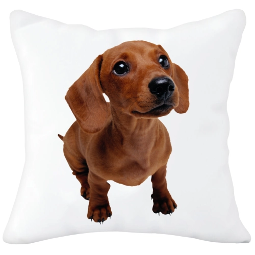 PODUSZKA  Z SUPER NADRUKIEM NA PREZENT