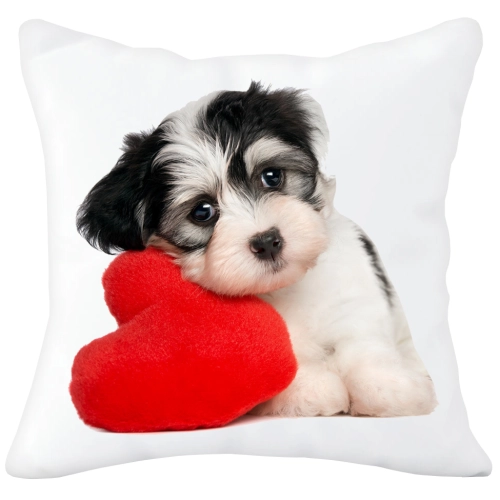 PODUSZKA  Z SUPER NADRUKIEM NA PREZENT