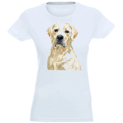 T-SHIRT KOSZULKA DAMSKA NADRUK LABRADOR