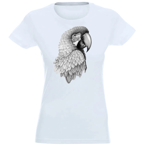 T-SHIRT KOSZULKA DAMSKA Z NADRUKIEM SZARA PAPUGA