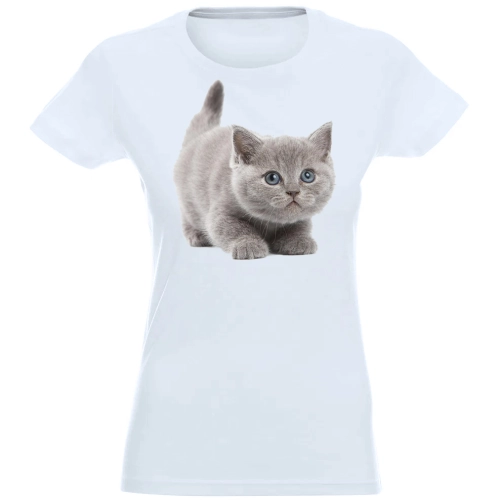 T-SHIRT KOSZULKA DAMSKA Z NADRUKIEM MAŁY KOTEK