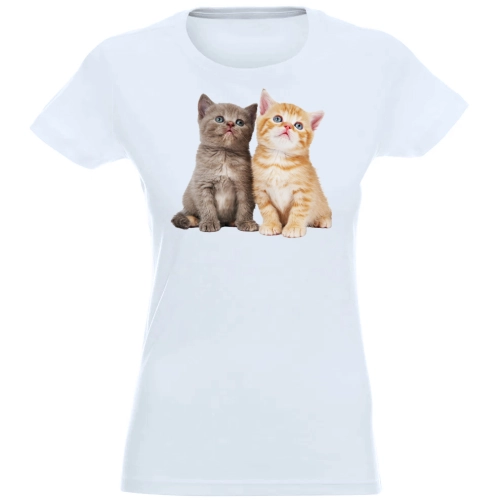 T-SHIRT KOSZULKA DAMSKA Z NADRUKIEM DWA KOTKI