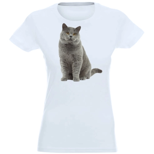 T-SHIRT KOSZULKA DAMSKA Z NADRUKIEM SZARY KOT