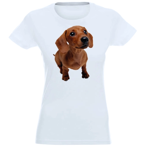 T-SHIRT KOSZULKA DAMSKA Z NADRUKIEM BRĄZOWY PIES