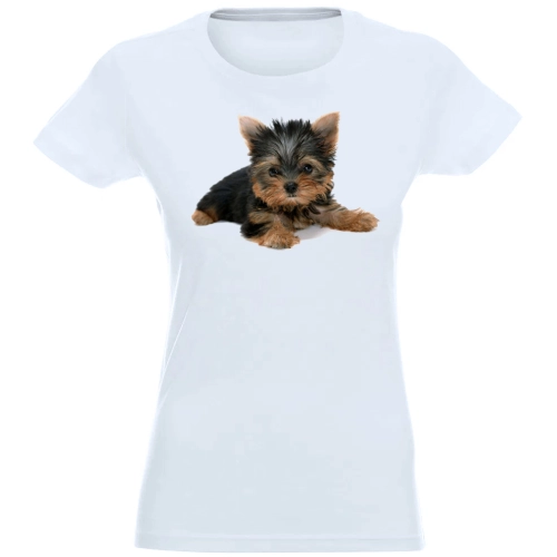 T-SHIRT KOSZULKA DAMSKA NADRUK MAŁY YORK