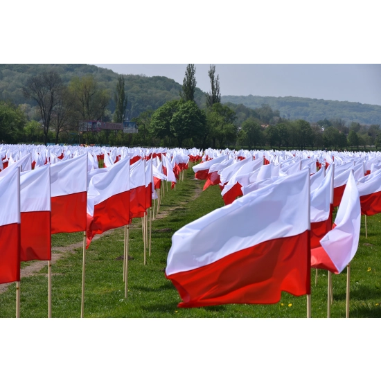 FLAGA POLSKA FLAGI POLSKI NARODOWA PRODUCENT 128x80 cm MOCNA Z GODŁEM GODŁO