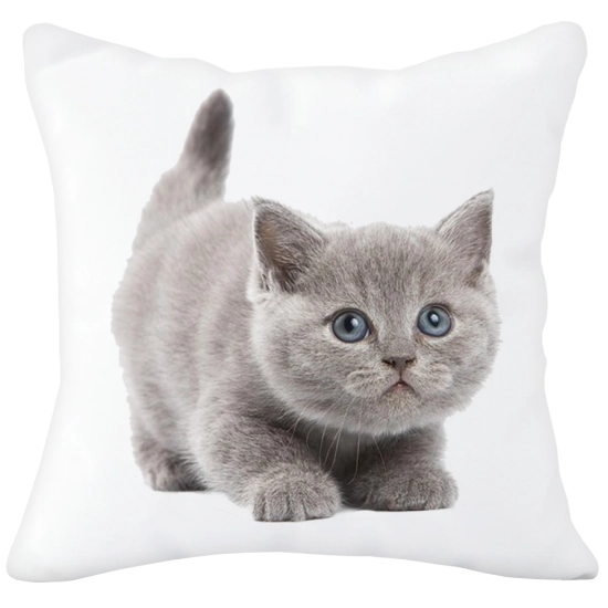 PODUSZKA  Z SUPER NADRUKIEM NA PREZENT