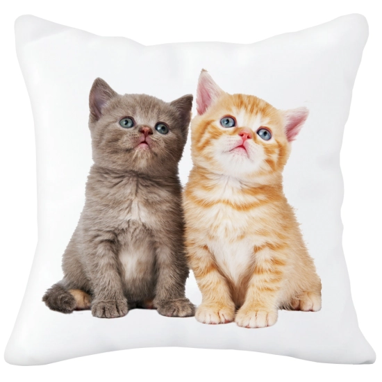 PODUSZKA  Z SUPER NADRUKIEM NA PREZENT