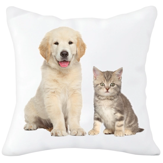 PODUSZKA  Z SUPER NADRUKIEM NA PREZENT