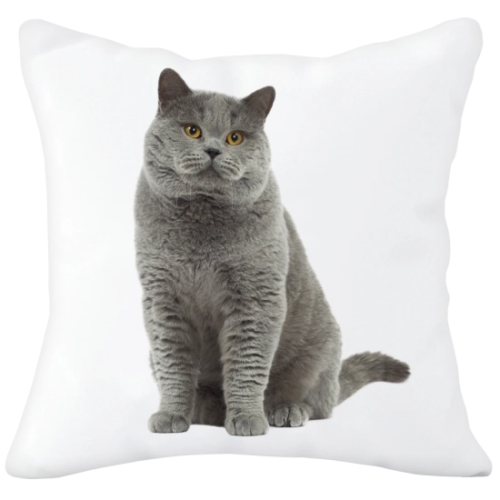 PODUSZKA  Z SUPER NADRUKIEM NA PREZENT