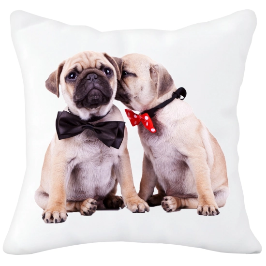 PODUSZKA  Z SUPER NADRUKIEM NA PREZENT