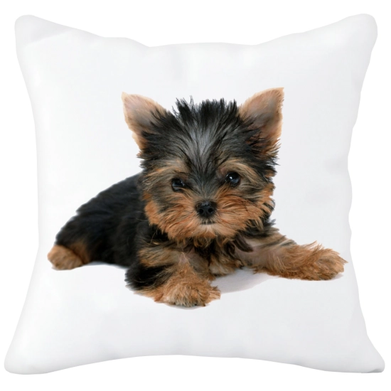 PODUSZKA  Z SUPER NADRUKIEM NA PREZENT