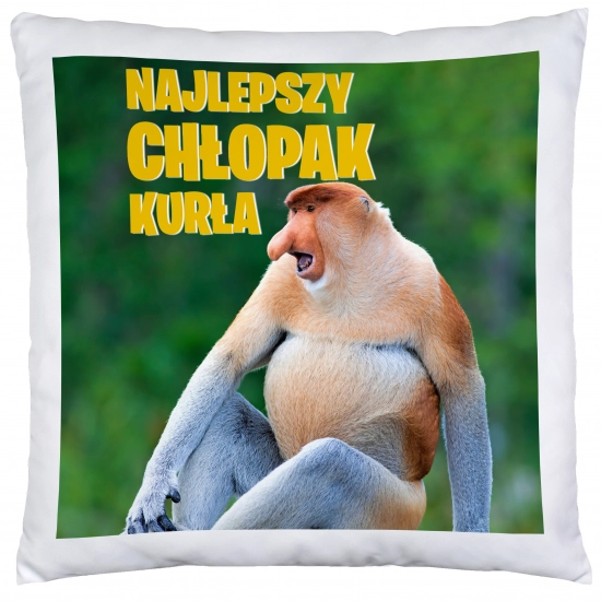 PODUSZKA 40x40 DZIEŃ CHŁOPAKA FACETA PREZENT DRUK